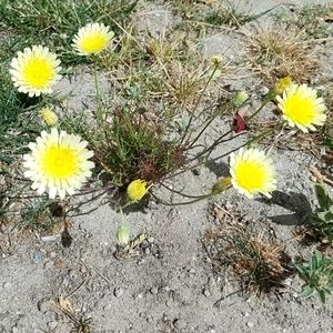 Meet your Posher, Jasmin